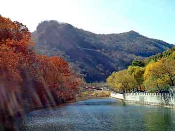 管家婆黑白马报图库，暧昧神医